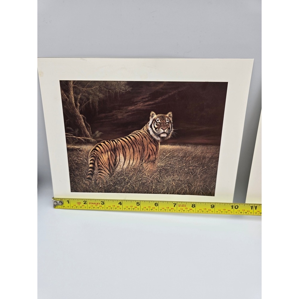 Ruane Manning Wildlife Art Prints Lion Tiger‎ Set Litho USA - Picture 9 of 11